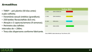 39
• TMB® - pré-plantio (50 dias antes)
e pós-colheita;
• Feromônio sexual sintético (grandlure);
• 250 botões florais/talhão (0,6 cm);
• Atração e 2 capturas/semana (9 semanas);
• Perímetro dos talhões:
intervalos de ≈ 200m;
• Troca dos dispersores conforme fabricante.
Armadilhas
Índice BAS
> 2 BAS ZONA VERMELHA 3 APLICAÇÕES
1-2 BAS ZONA AMARELA 2 APLICAÇÕES
0-1 BAS ZONA AZUL 1 APLICAÇÃO
0 BAS ZONA VERDE SEM APLICAÇÃO
Fonte: ABRAPA, tabela elaborada por Thaís Moreira, 2021.
 