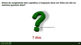 44
Antes do surgimento dos capulhos a inspeção deve ser feita em até no
máximo quantos dias?
Imagem: Publicdomainpictures, 2021.
7 dias
 