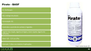 46
IA: Clorfenapir;
GQ: análogo de pirazol;
Formulação: SC;
Inseticida e acaricida de contato e ingestão;
Lagarta-das-maçãs, lagarta-armígera, ácaro-rajado, lagarta-do-
cartucho;
Dose: 0,8 – 1,5 L p.c./ha;
Intervalo: 5 dias e ao máximo 4 aplicações.
Pirate - BASF
Imagem: Nordeste Atacado, 2021.
 