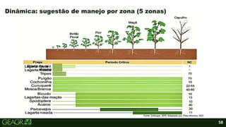 58
Dinâmica: sugestão de manejo por zona (5 zonas)
Fonte: Embrapa, 2019. Adaptada por Thaís Moreira, 2021.
elasmo
Lagarta rosca -
 
