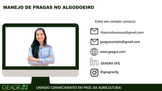 Entre em contato conosco:
www.geagra.com
geagracontato@gmail.com
GEAGRA UFG
@geagraufg
UNINDO CONHECIMENTO EM PROL DA AGRICULTURA!
MANEJO DE PRAGAS NO ALGODOEIRO
thaismsilvasouza@gmail.com
 