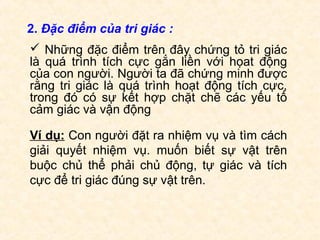 Slide thuyết trình tri giác | PPT