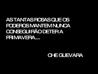 AS TANTAS ROSAS QUE OS PODEROS MANTEM NUNCA CONSEGUIRÃO DETER A PRIMAVERA.... CHE GUEVARA 