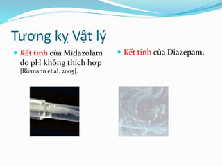 Tương kỵ Vật lý
 Kết tinh của Midazolam
do pH không thích hợp
[Riemann et al. 2005].
 Kết tinh của Diazepam.
 