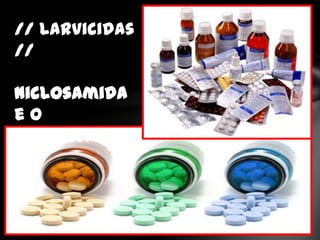 // Larvicidas
//

Niclosamida
eo
Praziquantel
 