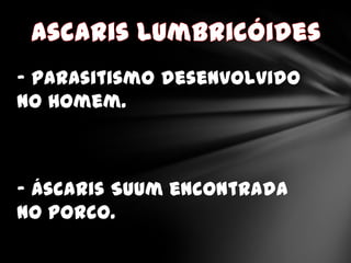 - Parasitismo desenvolvido
no homem.



- Áscaris Suum encontrada
no porco.
 