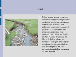 Lixo O lixo jogado no mar representa uma séria ameaça aos organismos marinhos. Muitos animais, como as tartarugas marinhas e os golfinhos, confundem pedaços de plástico ou vidro com os seus alimentos, engolindo-os e morrendo sufocados. No Brasil, existe o registro do caso de um filhote de  baleia  jubarte que morreu de inanição, após ingerir tampinhas de garrafas plásticas que ficaram presas em sua garganta, impedindo a passagem do leite materno. 