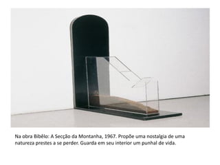 Na obra Bibêlo: A Secção da Montanha, 1967. Propõe uma nostalgia de uma
natureza prestes a se perder. Guarda em seu interior um punhal de vida.
 