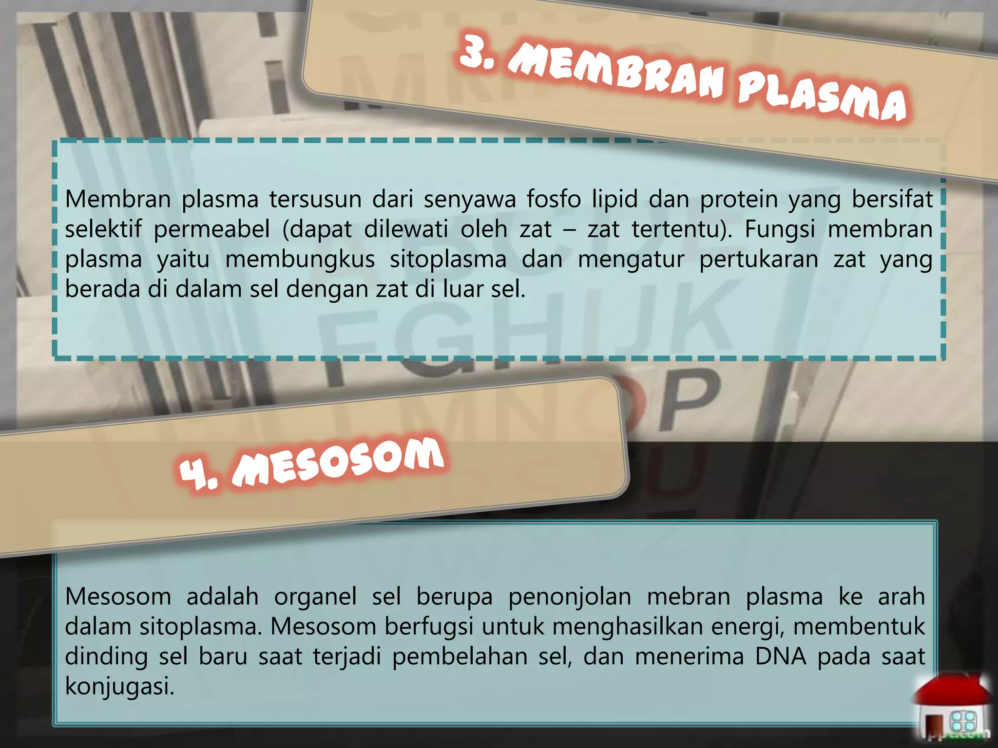 Membran plasma tersusun dari senyawa fosfo lipid dan protein yang bersifat
selektif permeabel (dapat dilewati oleh zat – zat tertentu). Fungsi membran
plasma yaitu membungkus sitoplasma dan mengatur pertukaran zat yang
berada di dalam sel dengan zat di luar sel.

Mesosom adalah organel sel berupa penonjolan mebran plasma ke arah
dalam sitoplasma. Mesosom berfugsi untuk menghasilkan energi, membentuk
dinding sel baru saat terjadi pembelahan sel, dan menerima DNA pada saat
konjugasi.

 