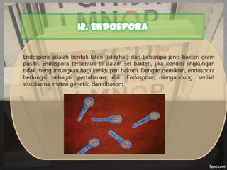12. Endospora
Endospora adalah bentuk laten (istirahat) dari beberapa jenis bakteri gram
positif. Endospora terbentuk di dalam sel bakteri, jika kondisi lingkungan
tidak menguntungkan bagi kehidupan bakteri. Dengan demikian, endospora
berfungsi sebagai pertahanan diri. Endospora mengandung sedikit
sitoplasma, materi genetik, dan ribosom.

 