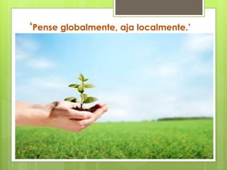 ‘Pense globalmente, aja localmente.’
 