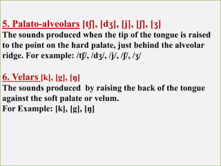 Vowels and Consonants | PPTX