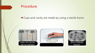Procedure
Cups and cavity are made by using a sterile boror.
 