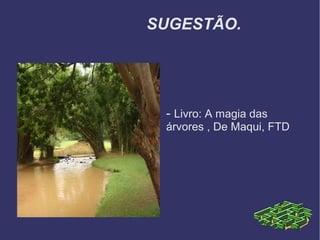 SUGESTÃO.
- Livro: A magia das
árvores , De Maqui, FTD
 