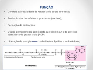 FUNÇÃO
• Controle da capacidade de resposta do corpo ao stress;
• Produção dos hormônios suprarrenais (cortisol);
• Formação de anticorpos;
• Ocorre primariamente como parte da coenzima A e da proteína
carreadora de grupos acila (ACP).
• Liberação de energia carboidratos, lipídios e aminoácidos;
 