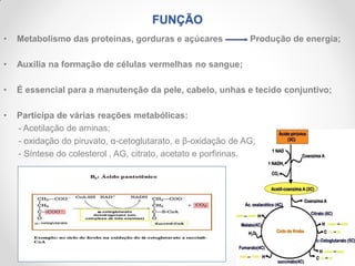 FUNÇÃO
• Metabolismo das proteínas, gorduras e açúcares Produção de energia;
• Auxilia na formação de células vermelhas no sangue;
• É essencial para a manutenção da pele, cabelo, unhas e tecido conjuntivo;
• Participa de várias reações metabólicas:
- Acetilação de aminas;
- oxidação do piruvato, α-cetoglutarato, e β-oxidação de AG;
- Síntese do colesterol , AG, citrato, acetato e porfirinas.
 