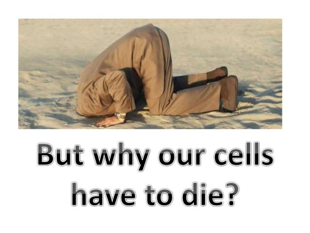 Why Human dies - Why Science can&rsquo;t make Human Immortal like Bacteria