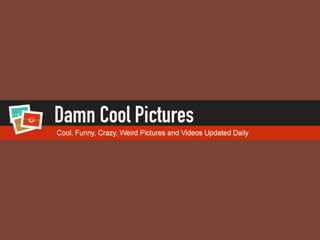 Where Company Names Come From