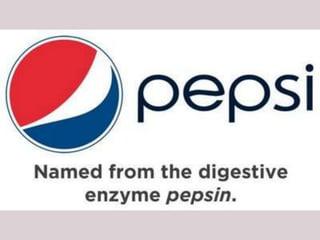 Where Company Names Come From