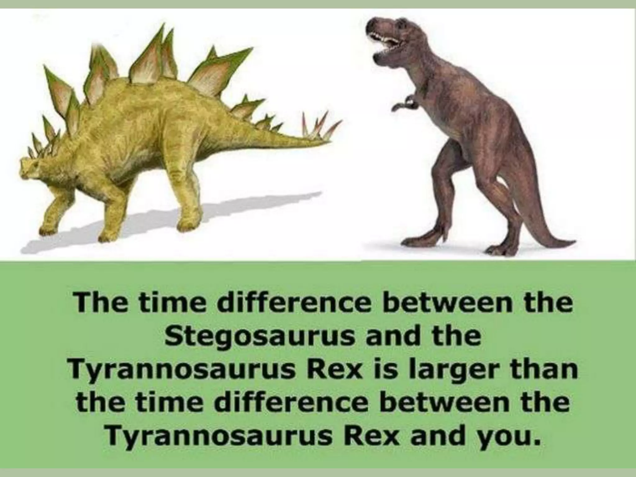 Surprising Historical Facts 