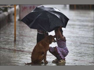 Floods In India