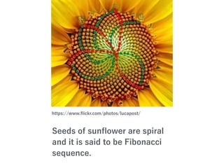 https://www.ﬂickr.com/photos/lucapost/
Seeds of sunﬂower are spiral
and it is said to be Fibonacci
sequence.
 