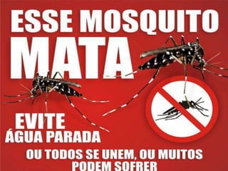 Slide zika