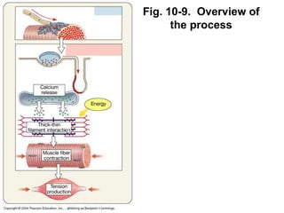 Fig. 10-9. Overview of
the process
 