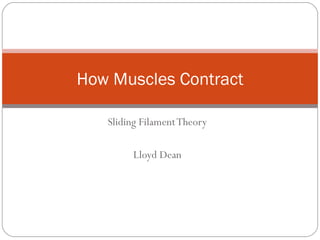 Sliding Filament Theory Lloyd Dean How Muscles Contract 