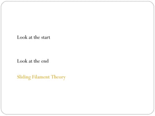 Look at the start

Look at the end
Sliding Filament Theory

 