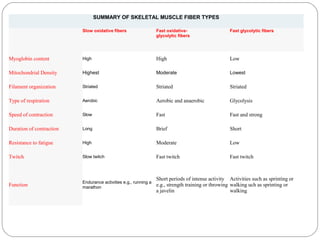 SUMMARY OF SKELETAL MUSCLE FIBER TYPES
Slow oxidative fibers

Fast oxidativeglycolytic fibers

Fast glycolytic fibers

Myoglobin content

High

High

Low

Mitochondrial Density

Highest

Moderate

Lowest

Filament organization

Striated

Striated

Striated

Type of respiration

Aerobic

Aerobic and anaerobic

Glycolysis

Speed of contraction

Slow

Fast

Fast and strong

Duration of contraction

Long

Brief

Short

Resistance to fatigue

High

Moderate

Low

Twitch

Slow twitch

Fast twitch

Fast twitch

Function

Endurance activities e.g., running a
marathon

Short periods of intense activity Activities such as sprinting or
e.g., strength training or throwing walking uch as sprinting or
a javelin
walking

 