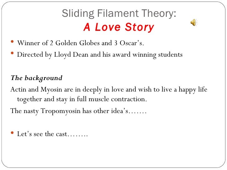 sliding filament theory muscle contraction sliding filament model