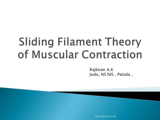 Sliding Filament Theory of Muscular Contraction judorajkiran.pptx