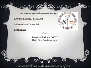 Profesor: FABIÁN ORTIZ
Ciclo IV – Grado Noveno
“Hacia la Excelencia desde una Sociedad de Afecto”.
 