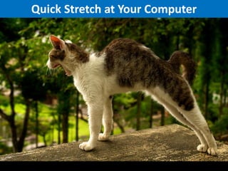 Quick Stretch at Your Computer

 