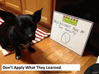 Don’t Apply What They Learned
http://www.dogshaming.com

 