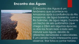 Encontro das Águas
O Encontro das Águas é um
fenômeno que acontece no
Amazonas após a confluência do Rio
Amazonas, de água barrenta, com o
Rio Solimões, de água negra. Durante
um trecho de seis quilômetros (que
chega a 22km em algumas épocas),
os dois rios ficam lado a lado sem
misturar suas águas, devido às
diferentes densidades e velocidades.
É um cenário muito interessante para
observar, tirar fotos e contar história.

 