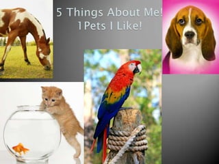 5 Things About Me!1Pets I Like! 