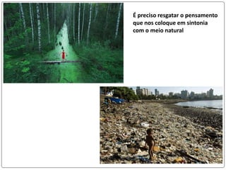 É preciso resgatar o pensamento
que nos coloque em sintonia
com o meio natural
 