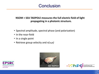 Conclusion 
NSOM + SEA TADPOLE measures the full electric field of light 
propagating in a photonic structure. 
• Spectral amplitude, spectral phase (and polarization) 
• In the near-field 
• In a single point 
• Retrieve group velocity and n(w,x) 
SEA TADPOLE 
 