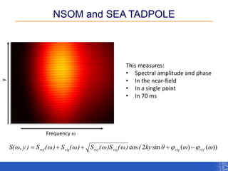 NSOM and SEA TADPOLE 
This measures: 
•Spectral amplitude and phase 
•In the near-field 
•In a single point 
•In 70 ms 
Frequency w 
y 
))()(sin2cos,wwrefsigsigrefsigrefθky()ω()Sω(S)ω(S)ω(S)yω(S  