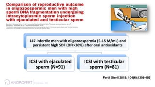 147	
  Infer9le	
  men	
  with	
  oligozoospermia	
  (5-­‐15	
  M/mL)	
  and	
  
persistent	
  high	
  SDF	
  (DFI>30%)	
  aoer	
  oral	
  an9oxidants	
  	
  
ICSI	
  with	
  ejaculated	
  
sperm	
  (N=91)	
  
ICSI	
  with	
  tes9cular	
  
sperm	
  (N=81)	
  
Fertil Steril 2015; 104(6):1398-405
Esteves, 34 !
 