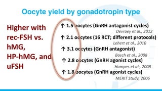  	
  	
  ↑	
  1.5	
  oocytes	
  (GnRH	
  antagonist	
  cycles)	
  
	
   	
   	
   	
  Devroey	
  et	
  al.,	
  2012	
  
	
  	
  ↑	
  3.1	
  oocytes	
  (GnRH	
  antagonist)	
  	
  
	
   	
   	
  Bosch	
  et	
  al.,	
  2008	
  
	
  	
  ↑	
  1.8	
  oocytes	
  (GnRH	
  agonist	
  cycles)	
  
	
   	
   	
  MERIT	
  Study,	
  2006	
  
	
  	
  	
  ↑	
  2.8	
  oocytes	
  (GnRH	
  agonist	
  cycles)	
  
	
   	
   	
  Hompes	
  et	
  al.,	
  2008	
  
	
  	
  	
  ↑	
  2.1	
  oocytes	
  (16	
  RCT;	
  diﬀerent	
  protocols)	
  
	
   	
   	
  Lehert	
  et	
  al.,	
  2010	
  
Higher	
  with	
  
rec-­‐FSH	
  vs.	
  
hMG,	
  	
  
HP-­‐hMG,	
  and	
  
uFSH	
  
Oocyte yield by gonadotropin type
 