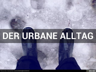 Photo by onnola - http://www.flickr.com/photos/30845644@N04/5254465183/