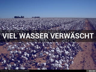 Photo by Calsidyrose - http://www.flickr.com/photos/calsidyrose/2966085308/