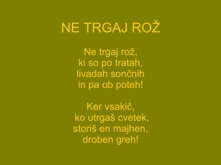 NE   TRGAJ ROŽ Ne trgaj rož, ki so po tratah, livadah sončnih in pa ob poteh! Ker vsakič,  ko utrgaš cvetek, storiš en majhen, droben greh! 