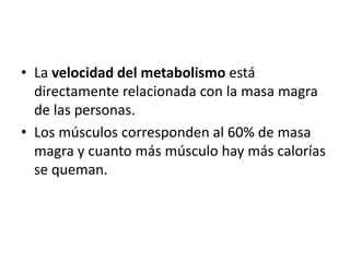 • La velocidad del metabolismo está
directamente relacionada con la masa magra
de las personas.
• Los músculos corresponden al 60% de masa
magra y cuanto más músculo hay más calorías
se queman.
 