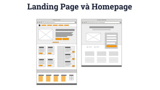 Landing Page và Homepage
 