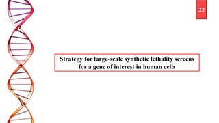 Synthetic lethality and cancer | PPTX