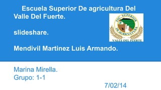 Escuela Superior De agricultura Del
Valle Del Fuerte.
slideshare.
Mendivil Martinez Luis Armando.
Marina Mirella.
Grupo: 1-1
7/02/14

 